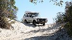 25-Billygoat enjoys the views from the last big dune on the Border Track